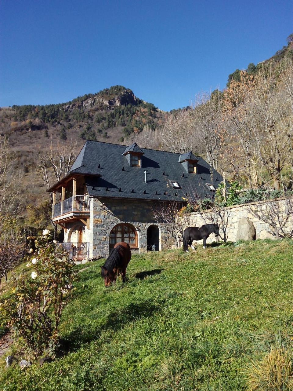 Casa Rural Fontamil Gistaín Buitenkant foto